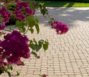 Paver Driveways